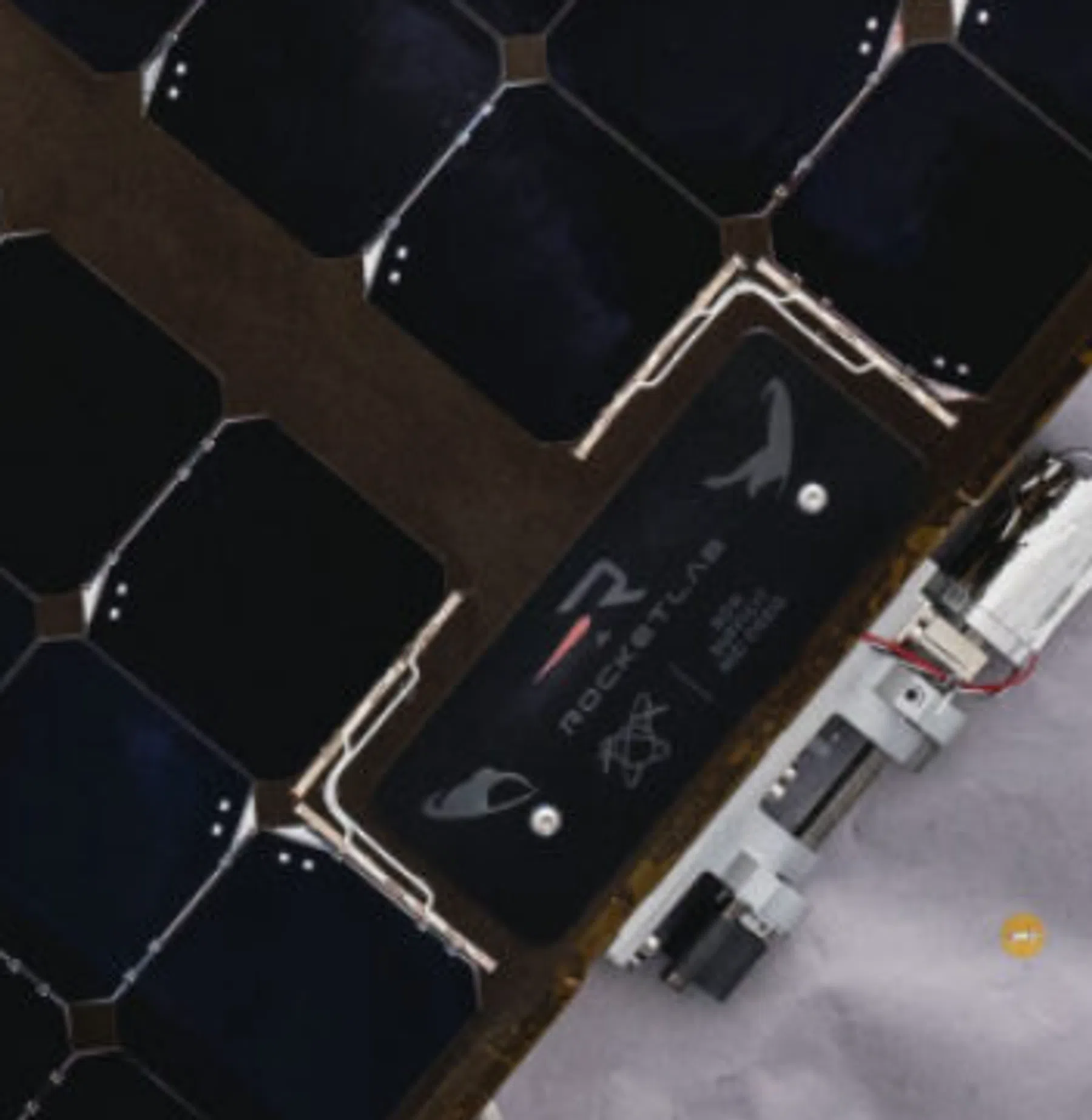 De kiwi's op de zonnepanelen